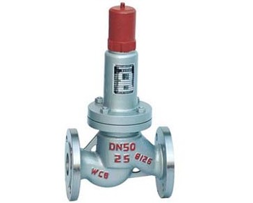 Parallel type safe backflow preventer