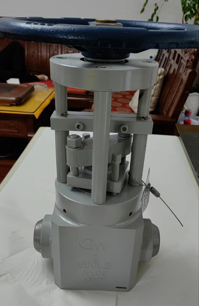 平行闸阀  2寸600LB